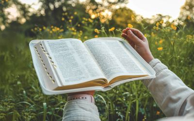 Photo of hands holding a open Bible in a outdoor setting, for the article How the Kingdom Should Change Our Lives Now